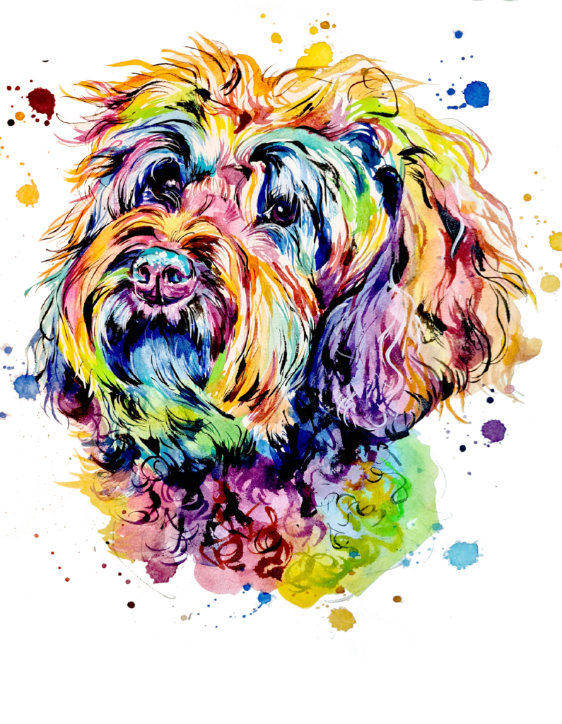 kodai labradoodles, australian labradoodle, labradůdl, barevné, watercolor, logo