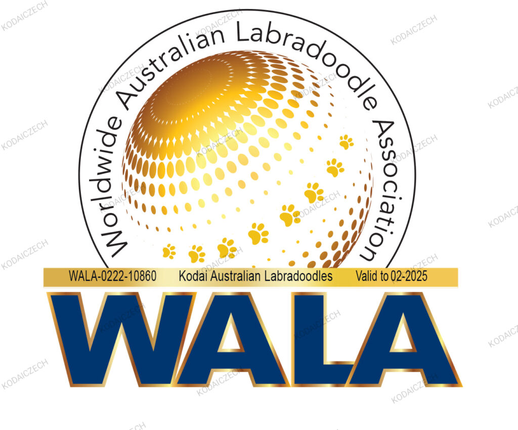 WALA logo, kodailabradoodles